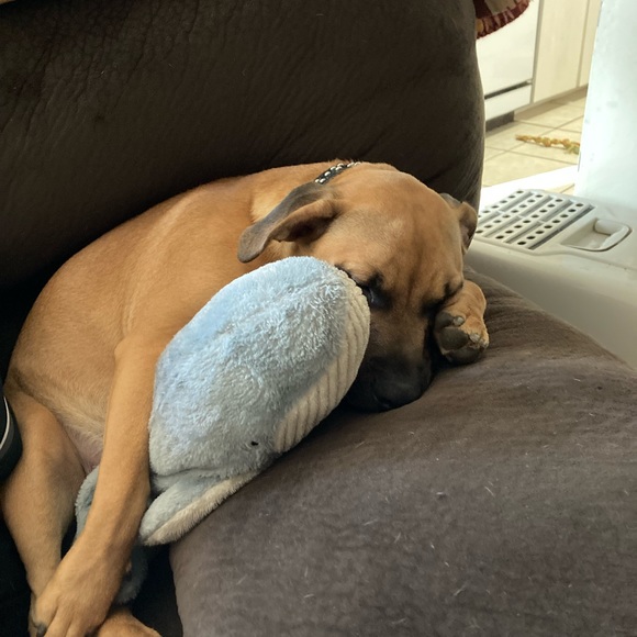 Meet your Posher, Mikenzie - Picture 8 of 11